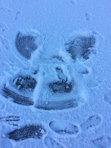 Image of Year 3 Snow Angels